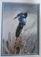 King Fisher